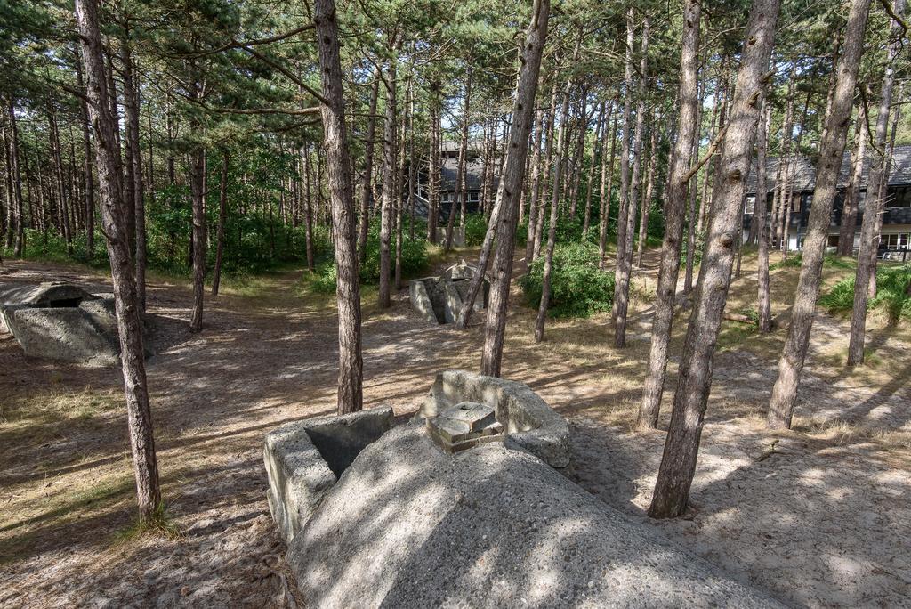 Folkshegeskoalle Schylgeralan Хорн Экстерьер фото