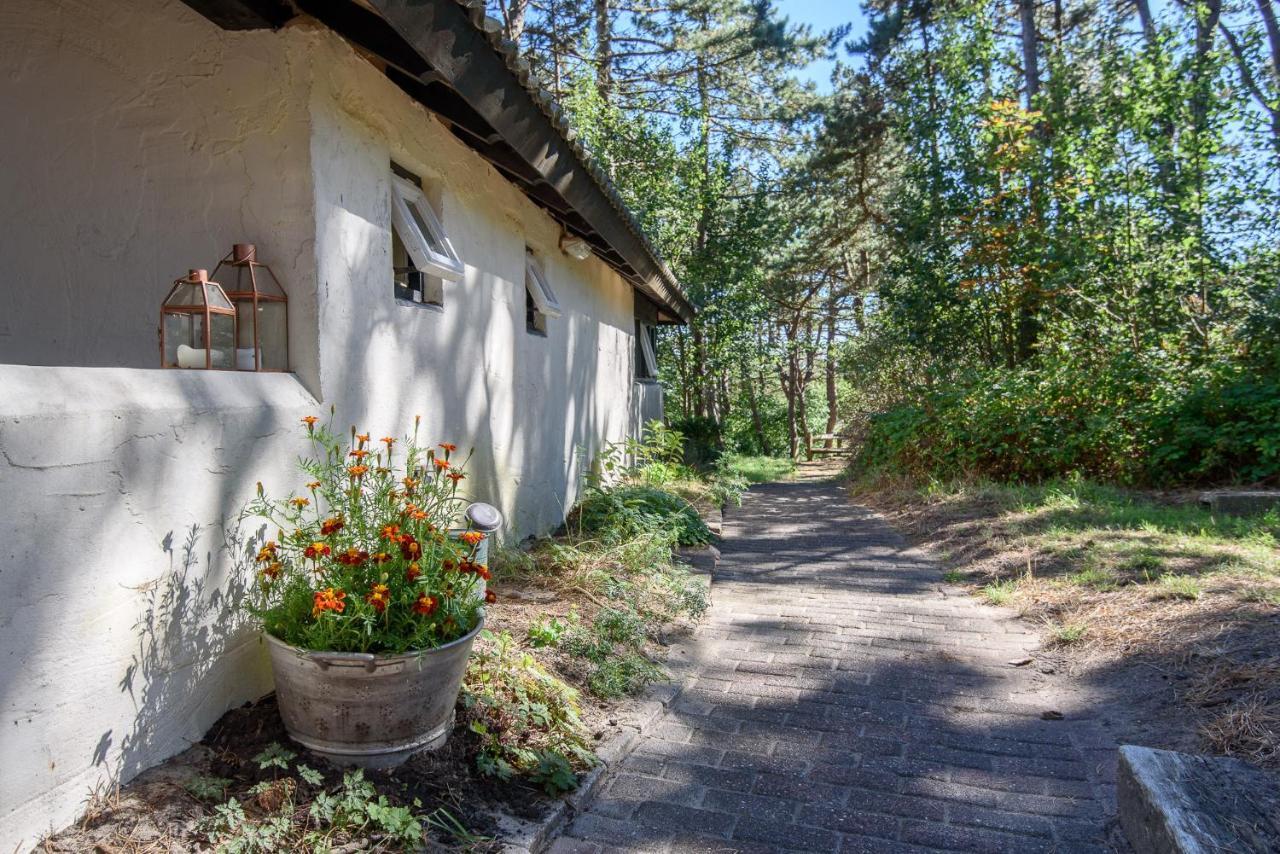 Folkshegeskoalle Schylgeralan Хорн Экстерьер фото